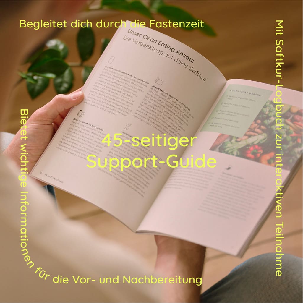 Saftkur Guide 3 Tage